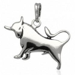 Wisiorek srebrny znak...