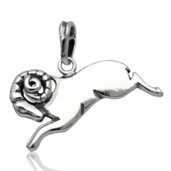 Wisiorek srebrny znak...